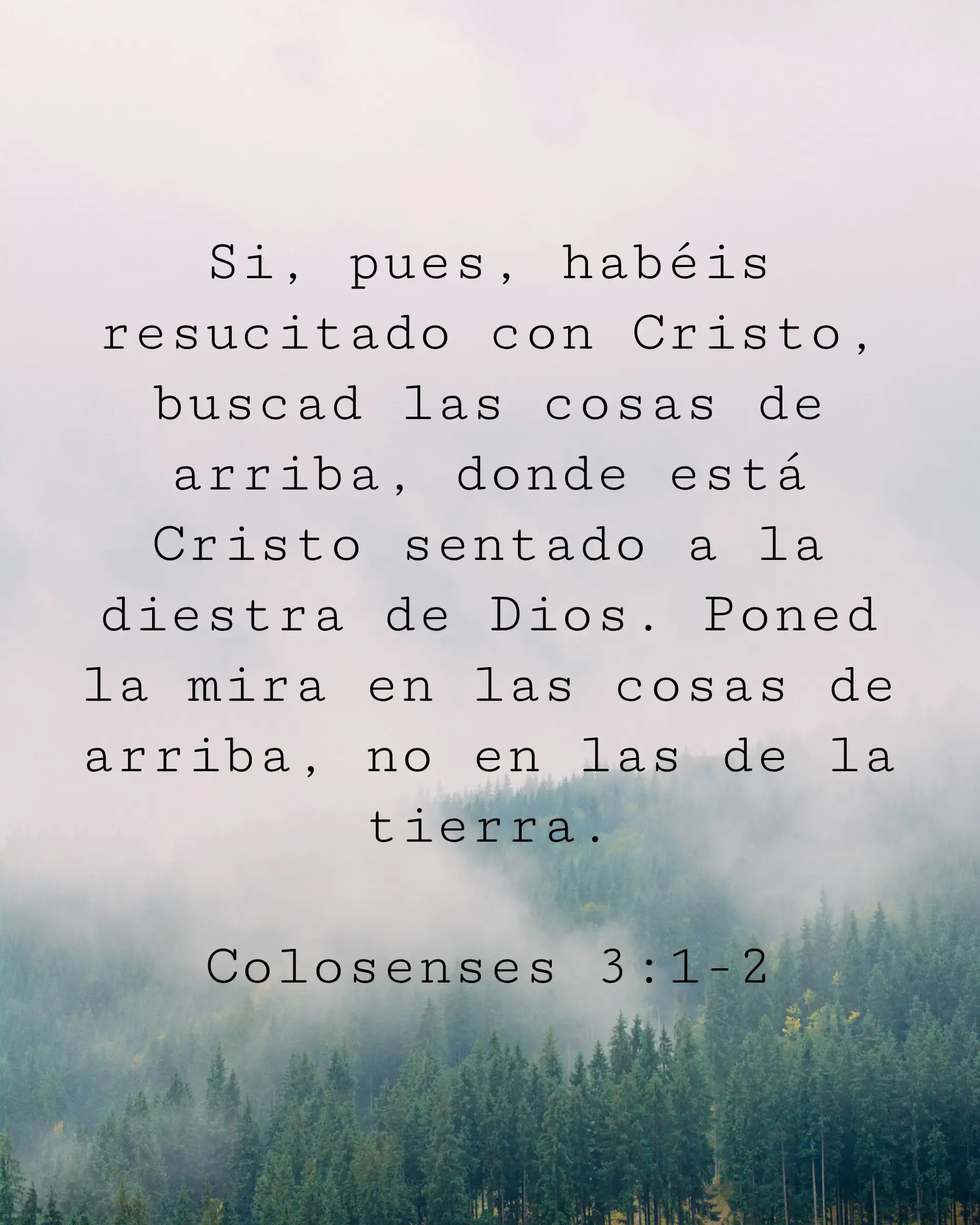 Si, pues, habéis resucitado con Cristo, buscad las cosas de arriba, donde está Cristo sentado a la diestra de Dios. Poned la mira en las cosas de arriba, no en las de la tierra.