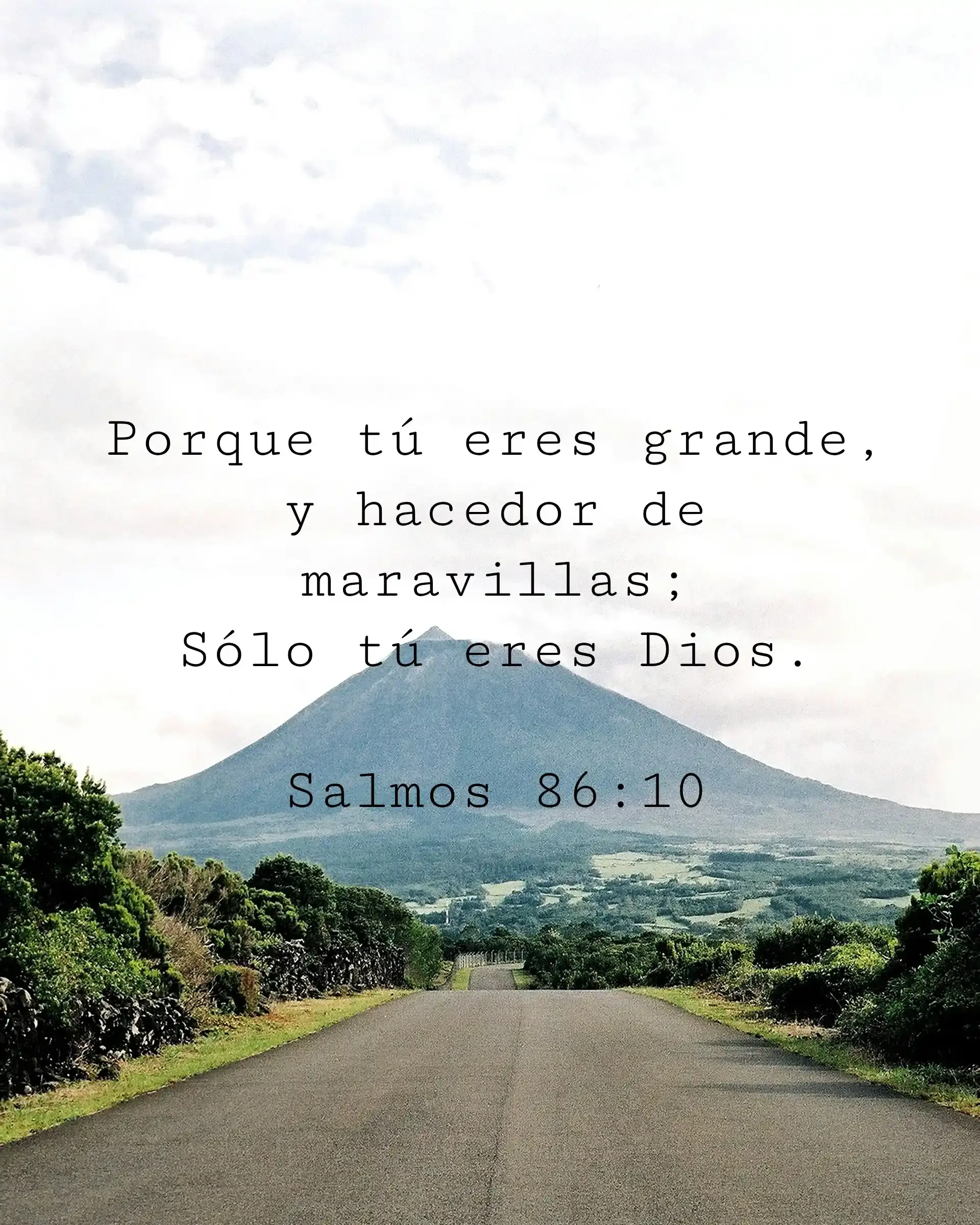 Porque tú eres grande, y hacedor de maravillas;
Sólo tú eres Dios.