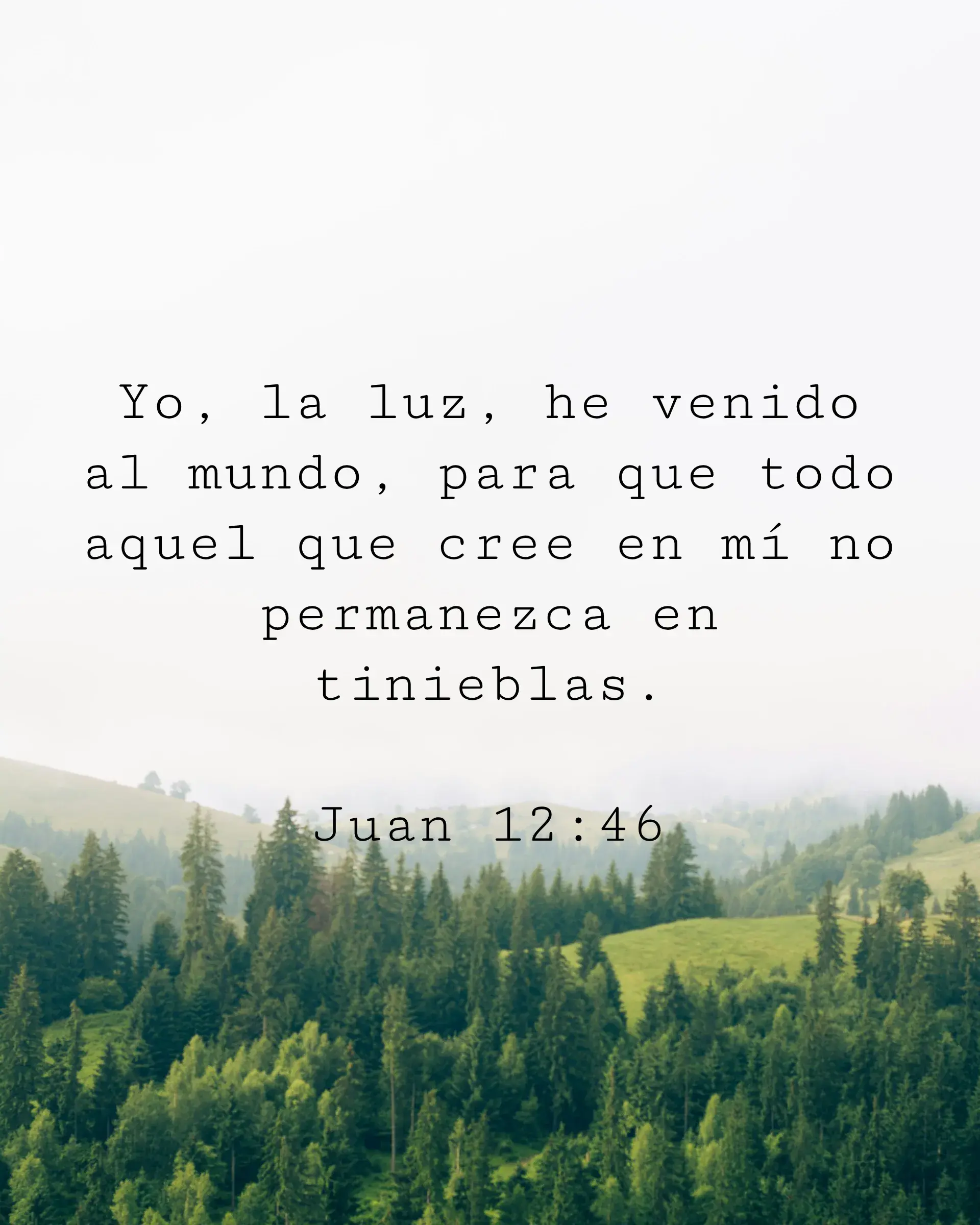 Yo, la luz, he venido al mundo, para que todo aquel que cree en mí no permanezca en tinieblas.