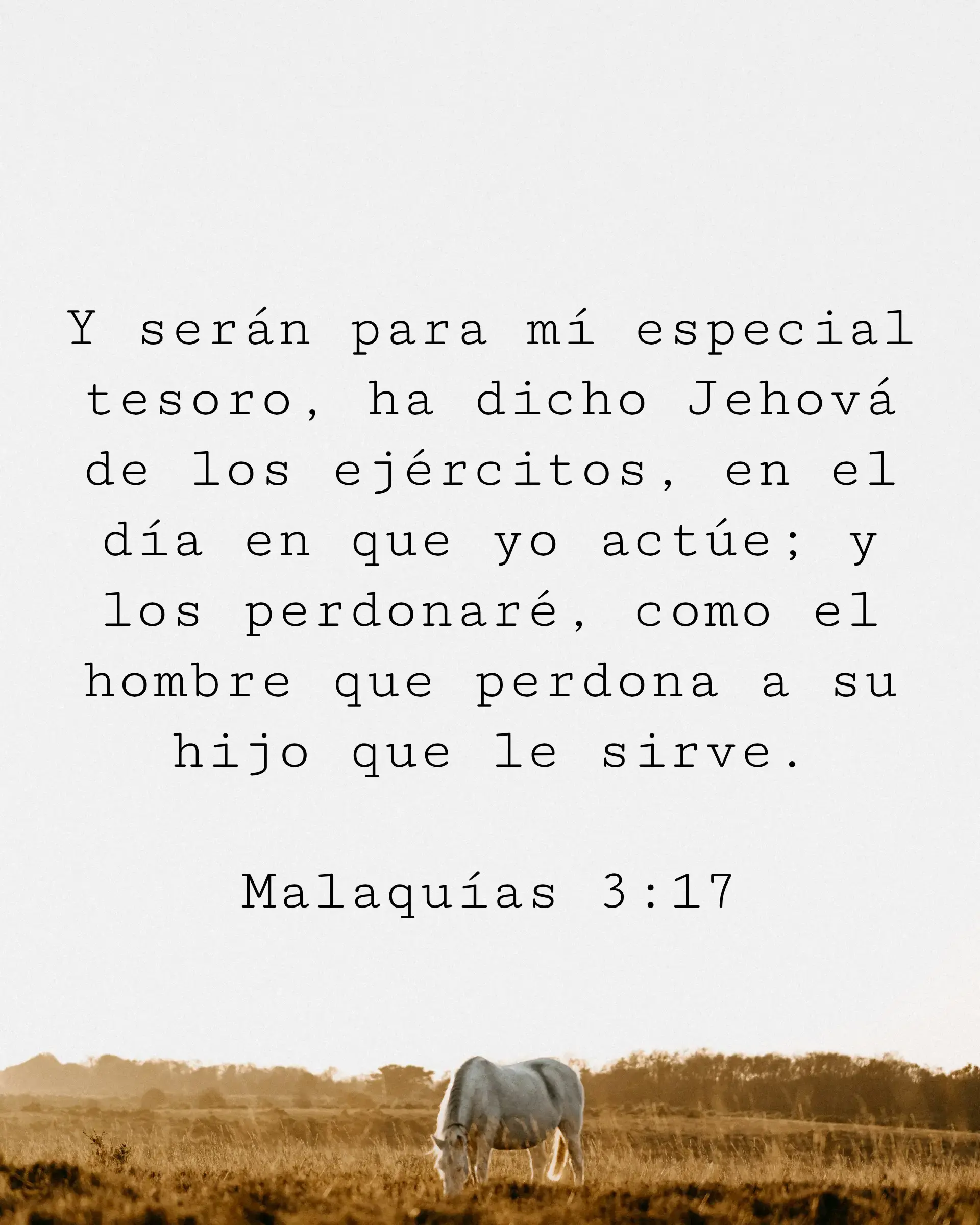 Y serán para mí especial tesoro, ha dicho Jehová de los ejércitos, en el día en que yo actúe; y los perdonaré, como el hombre que perdona a su hijo que le sirve.