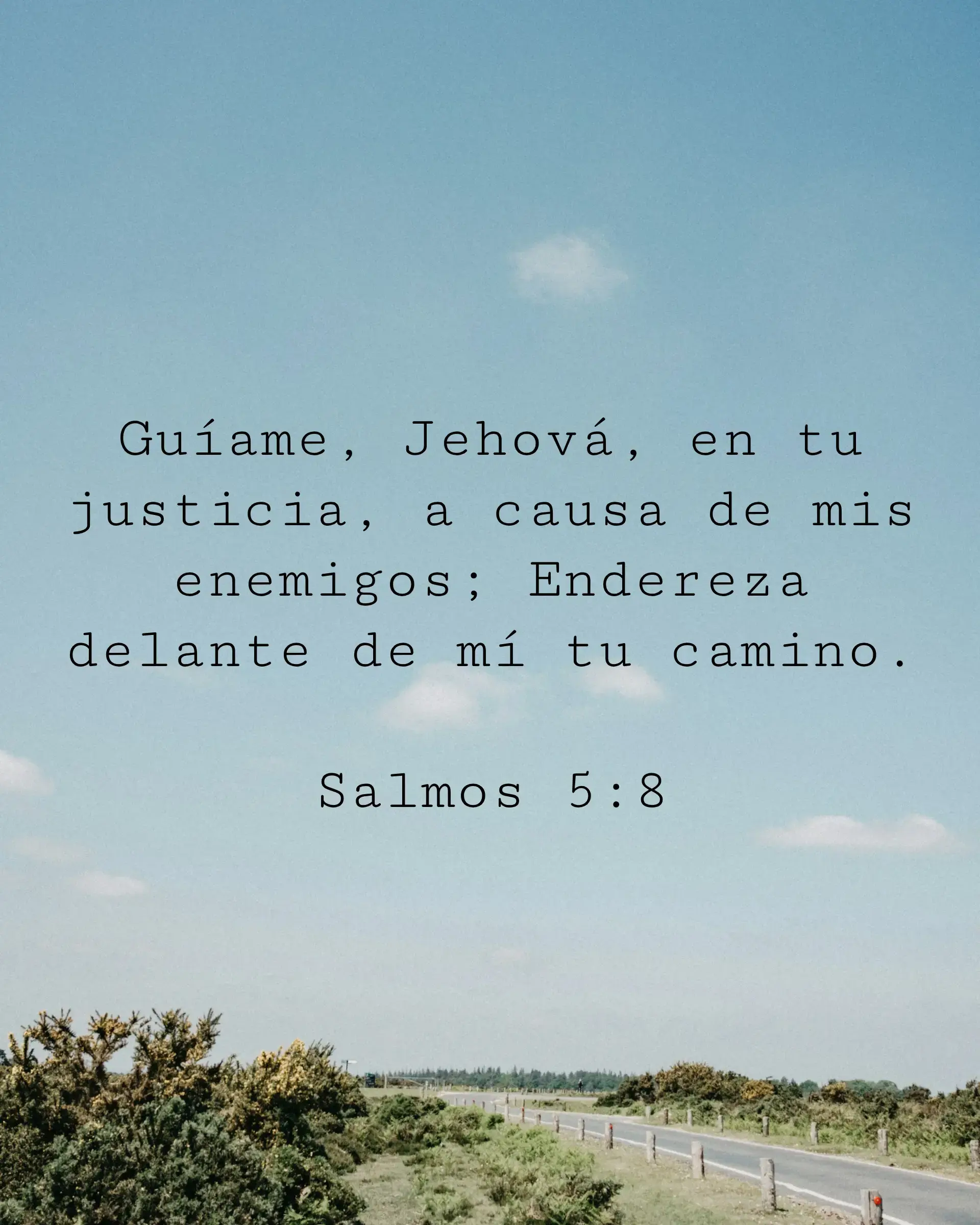 Guíame, Jehová, en tu justicia, a causa de mis enemigos; Endereza delante de mí tu camino.