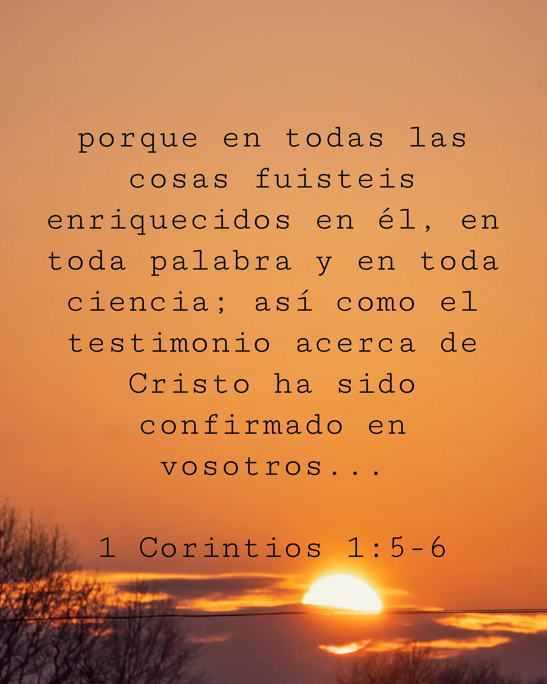 porque en todas las cosas fuisteis enriquecidos en él, en toda palabra y en toda ciencia; así como el testimonio acerca de Cristo ha sido confirmado en vosotros...