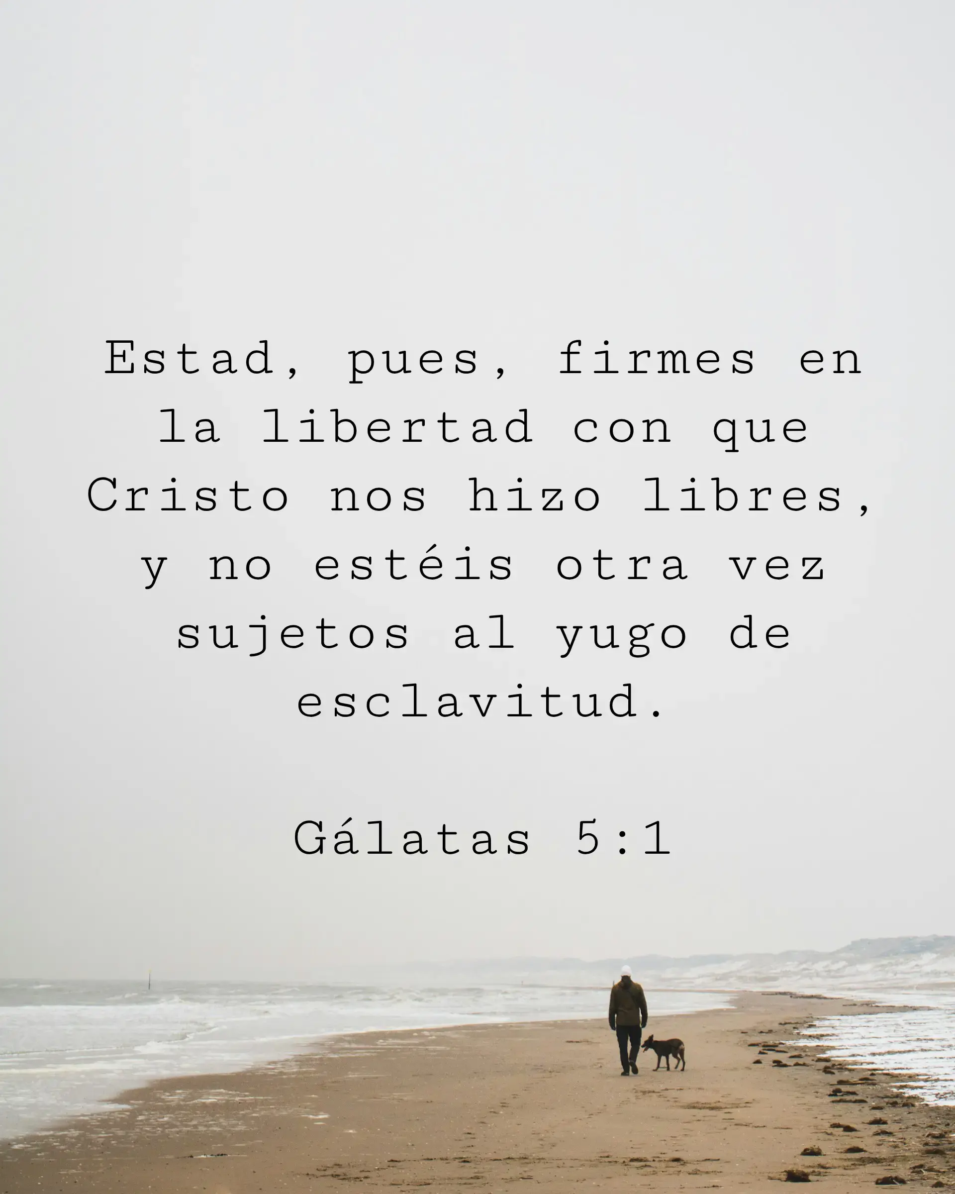 Estad, pues, firmes en la libertad con que Cristo nos hizo libres, y no estéis otra vez sujetos al yugo de esclavitud.