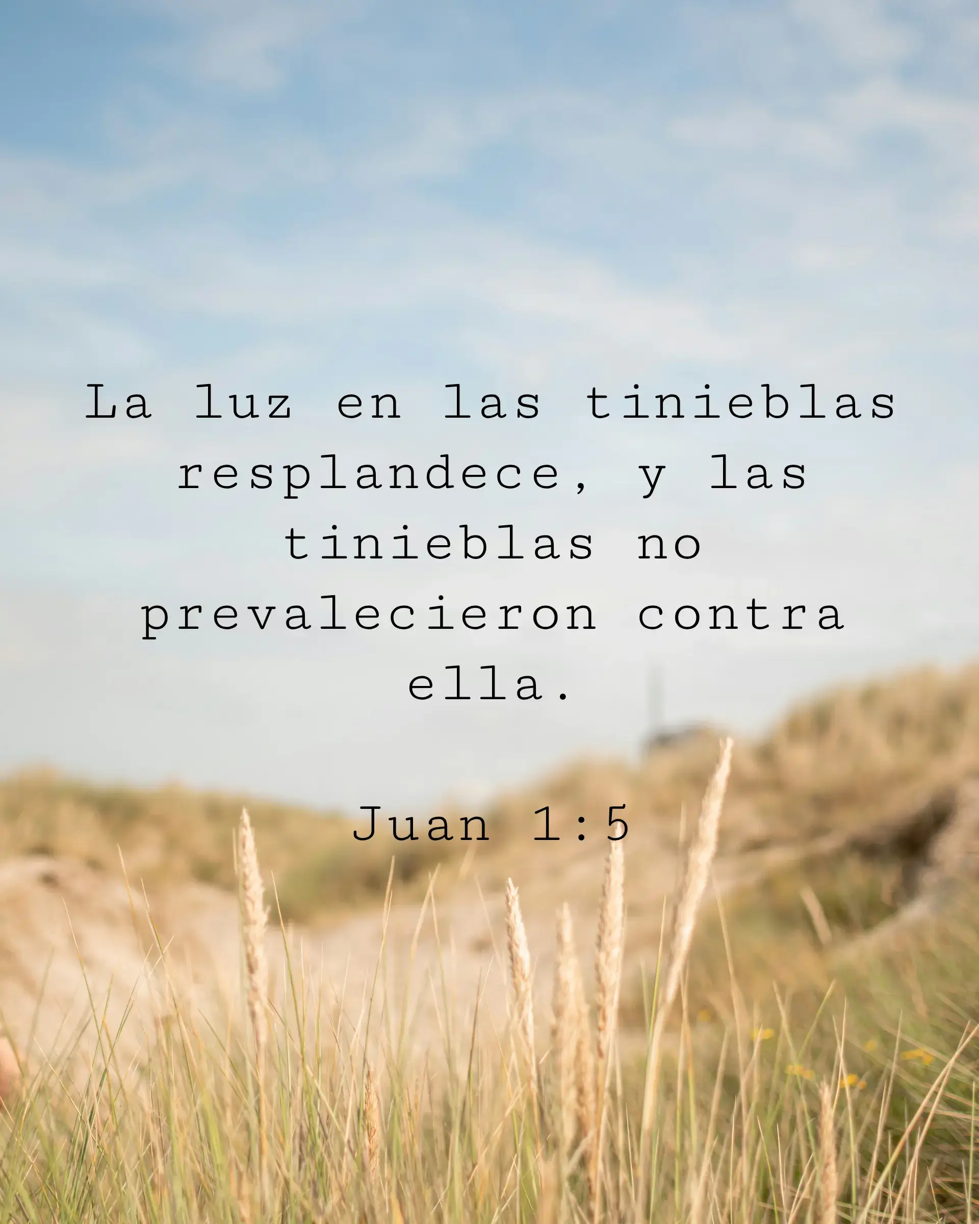 La luz en las tinieblas resplandece, y las tinieblas no prevalecieron contra ella.