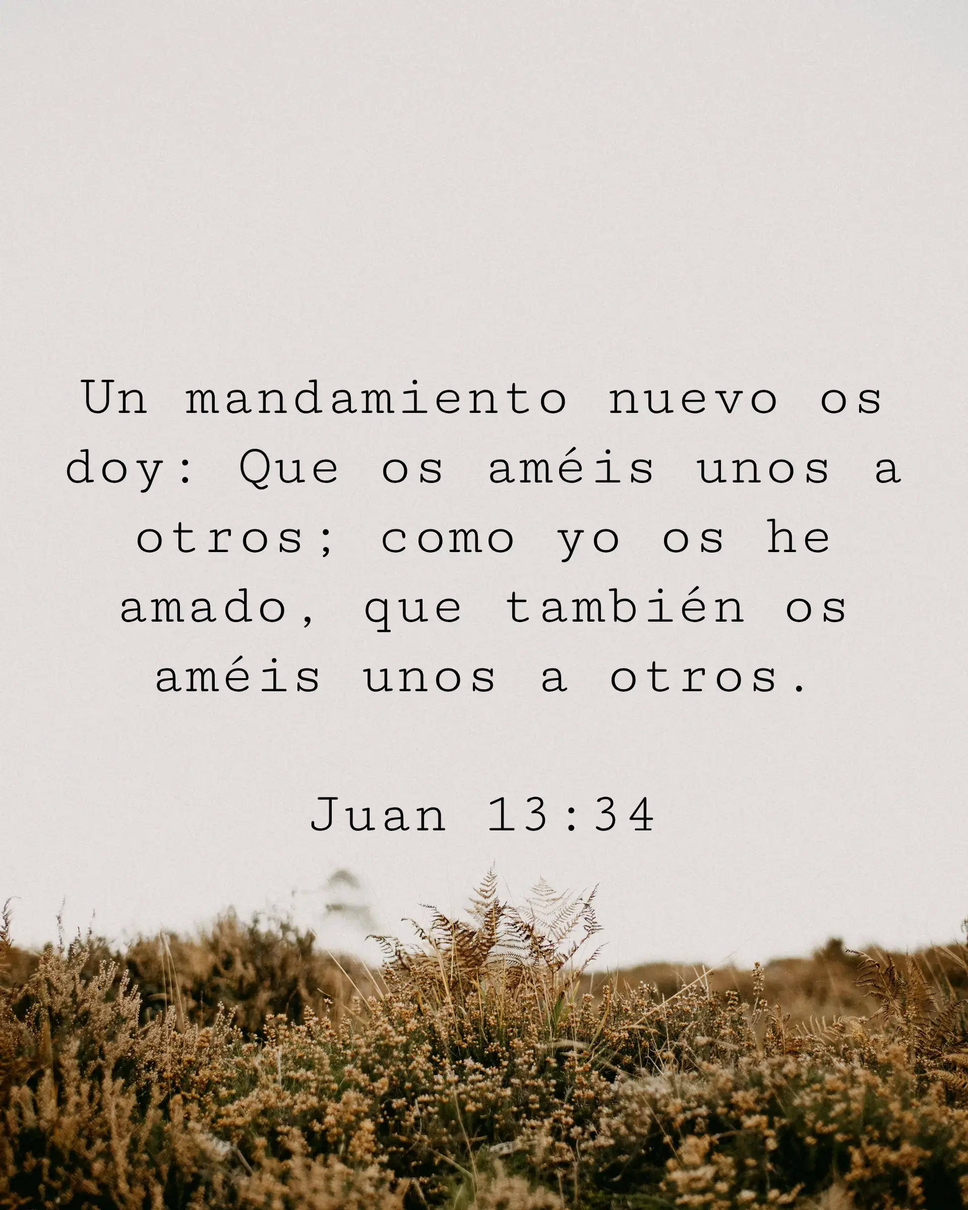 Un mandamiento nuevo os doy: Que os améis unos a otros; como yo os he amado, que también os améis unos a otros.