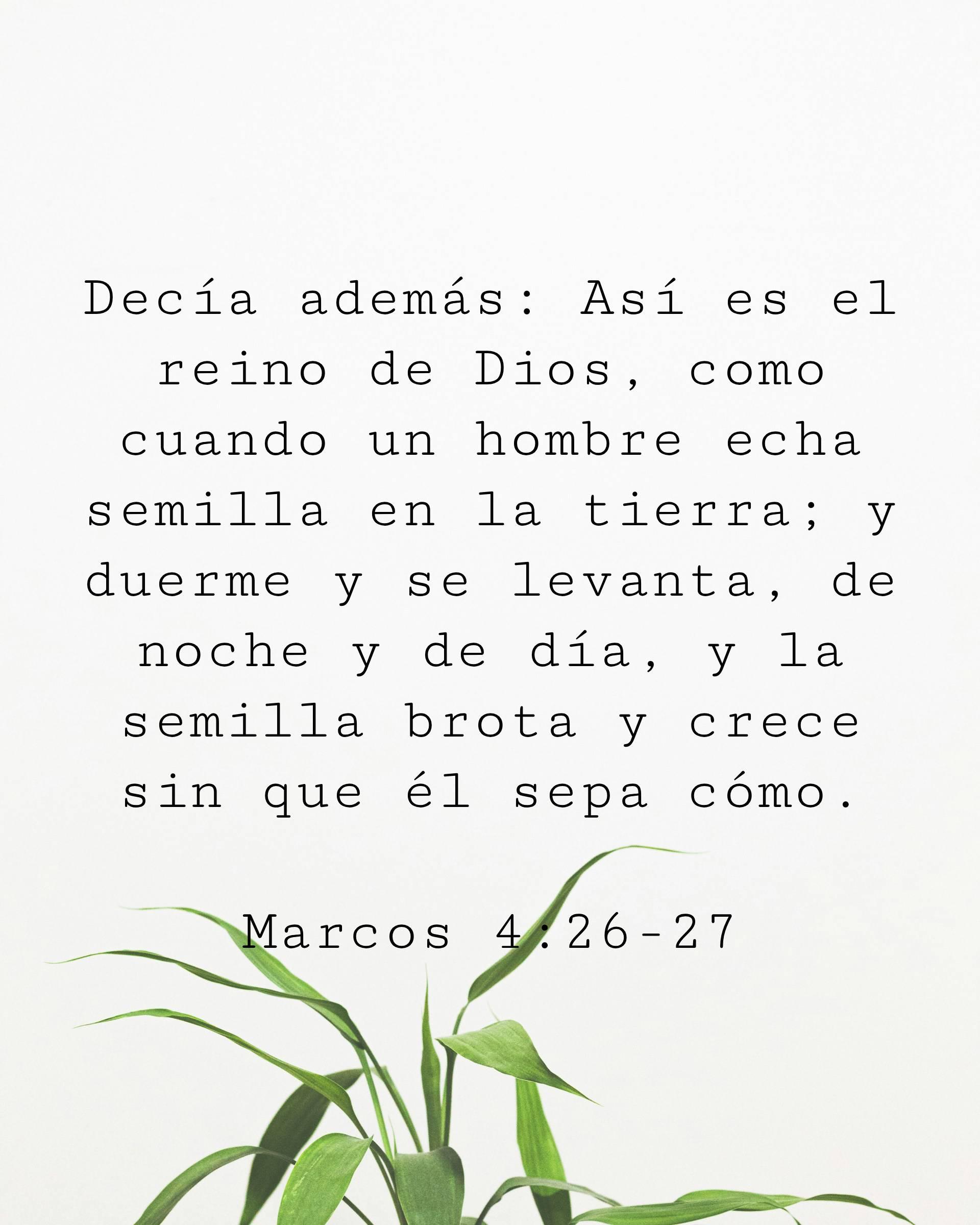 Decía además: Así es el reino de Dios, como cuando un hombre echa semilla en la tierra; y duerme y se levanta, de noche y de día, y la semilla brota y crece sin que él sepa cómo.