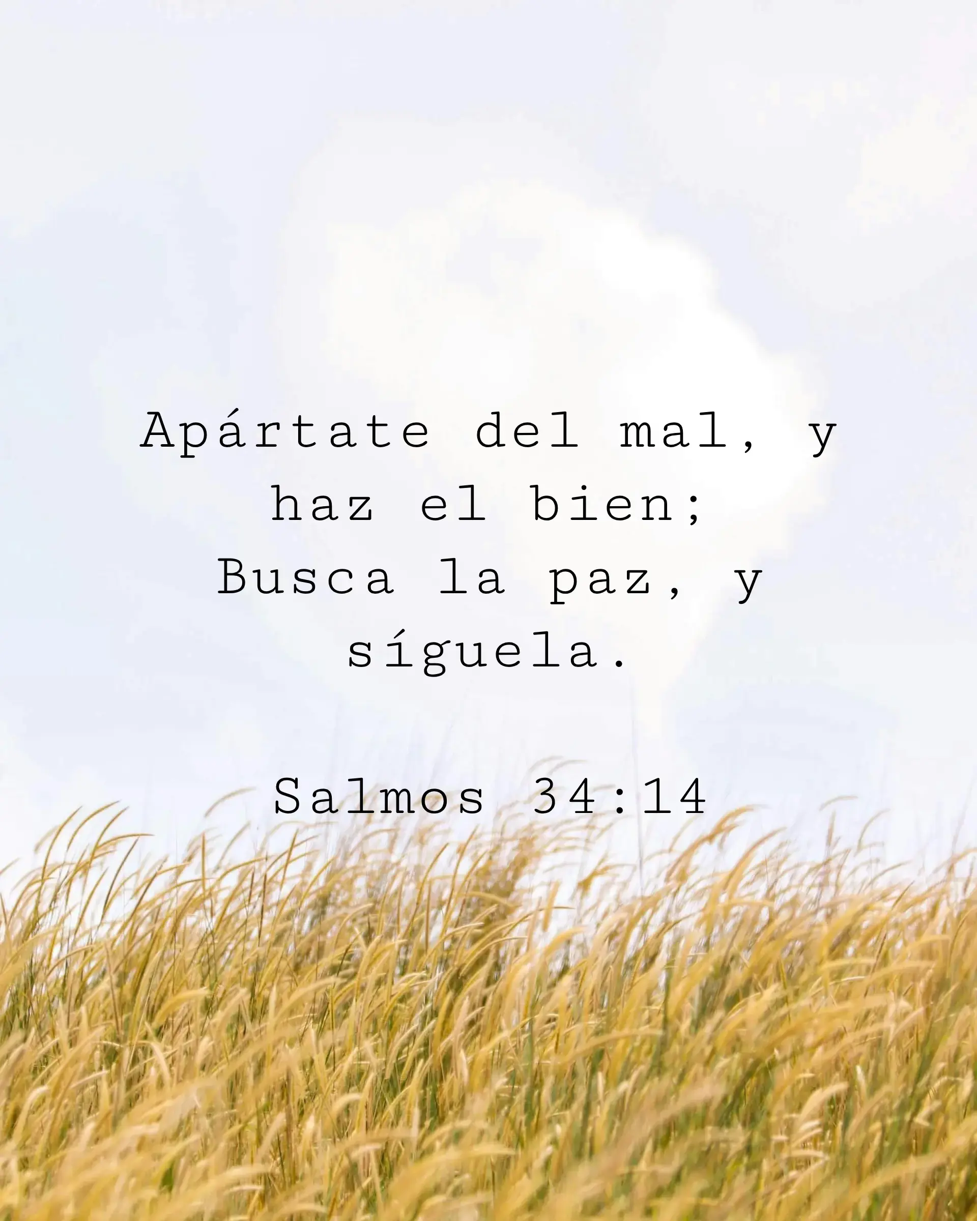 Apártate del mal, y haz el bien; Busca la paz, y síguela.