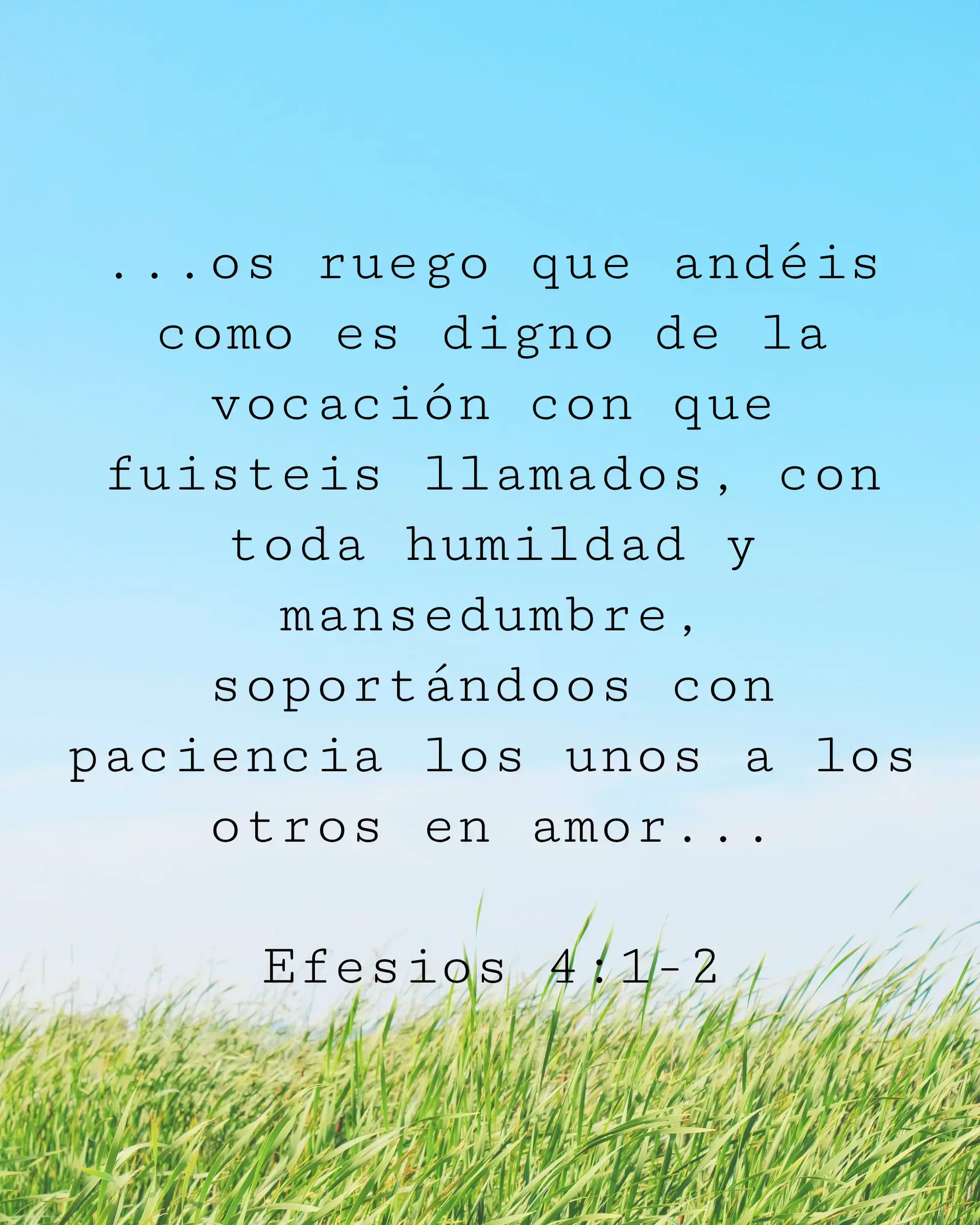 ...os ruego que andéis como es digno de la vocación con que fuisteis llamados, con toda humildad y mansedumbre, soportándoos con paciencia los unos a los otros en amor...