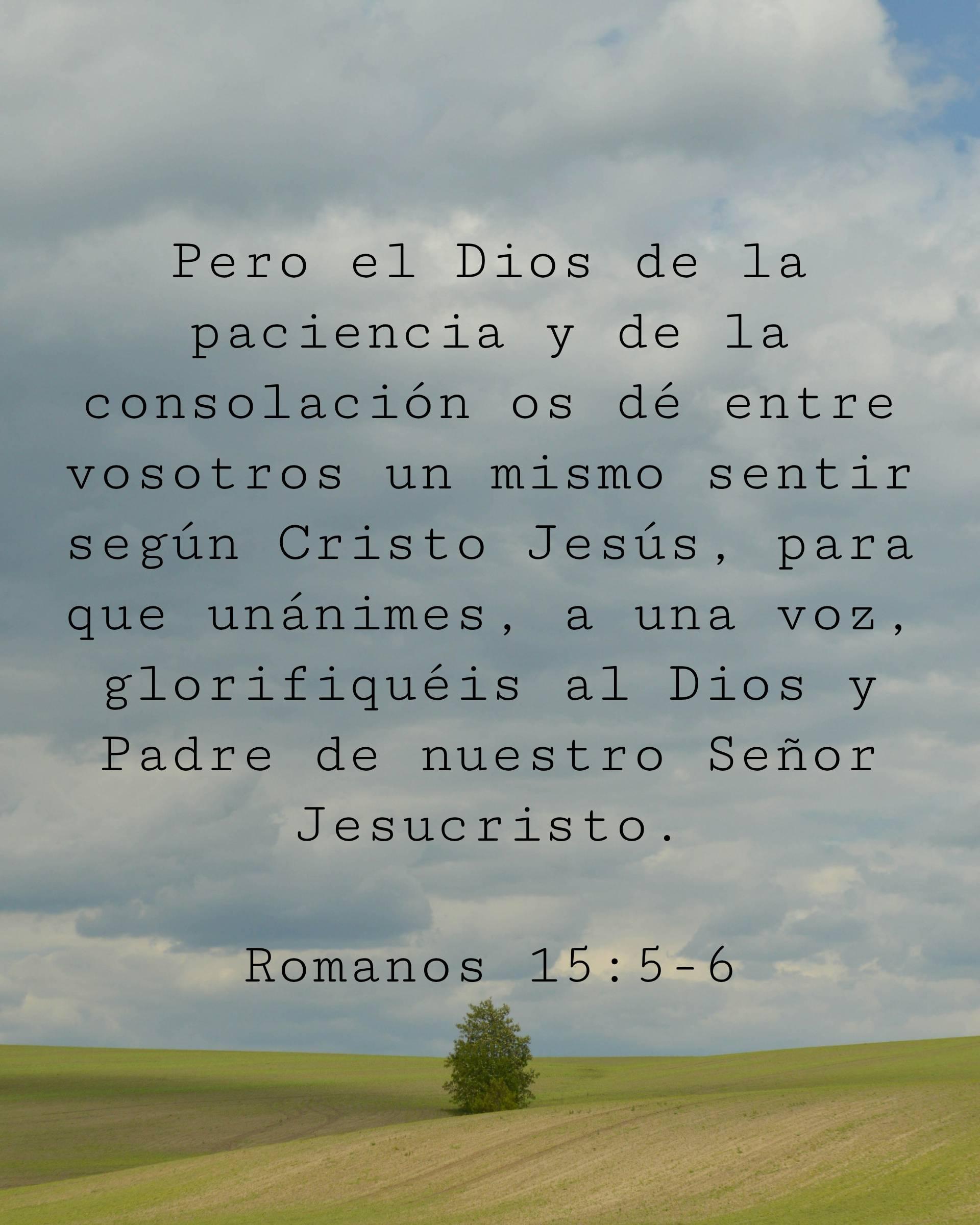 Pero el Dios de la paciencia y de la consolación os dé entre vosotros un mismo sentir según Cristo Jesús, para que unánimes, a una voz, glorifiquéis al Dios y Padre de nuestro Señor Jesucristo.