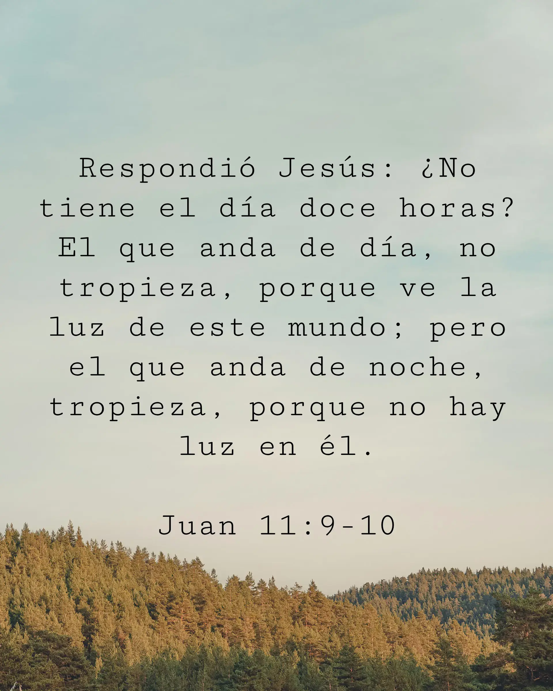 Respondió Jesús: ¿No tiene el día doce horas? El que anda de día, no tropieza, porque ve la luz de este mundo; pero el que anda de noche, tropieza, porque no hay luz en él.