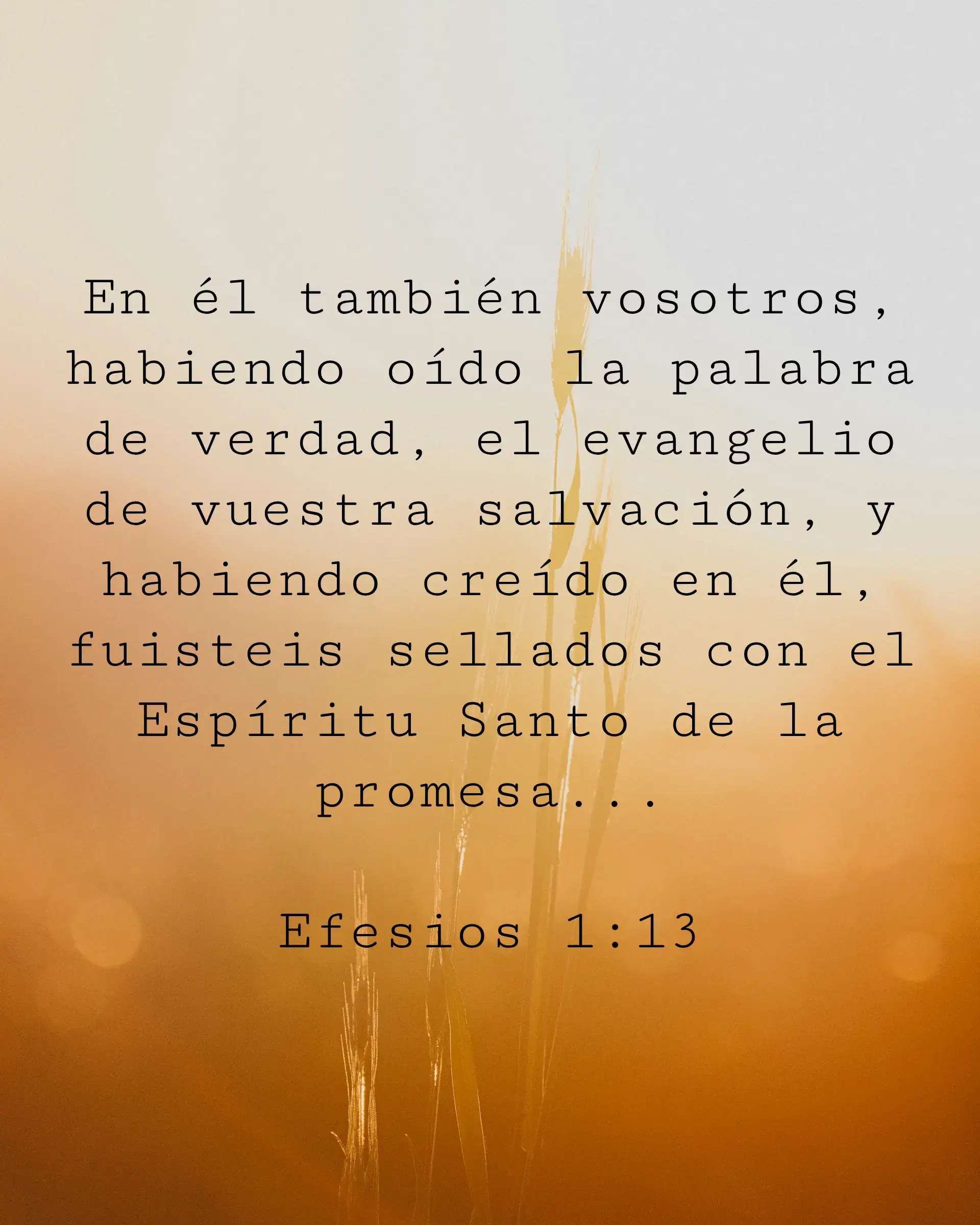 En él también vosotros, habiendo oído la palabra de verdad, el evangelio de vuestra salvación, y habiendo creído en él, fuisteis sellados con el Espíritu Santo de la promesa...