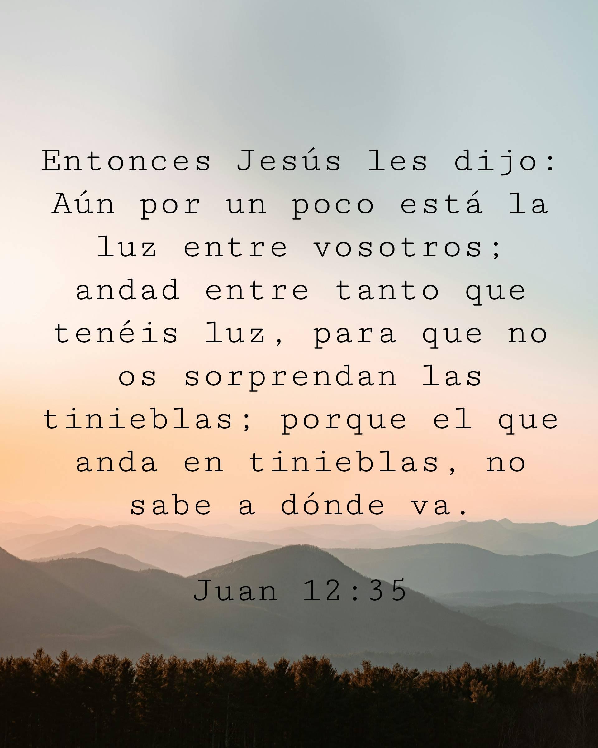 Entonces Jesús les dijo: Aún por un poco está la luz entre vosotros; andad entre tanto que tenéis luz, para que no os sorprendan las tinieblas; porque el que anda en tinieblas, no sabe a dónde va.