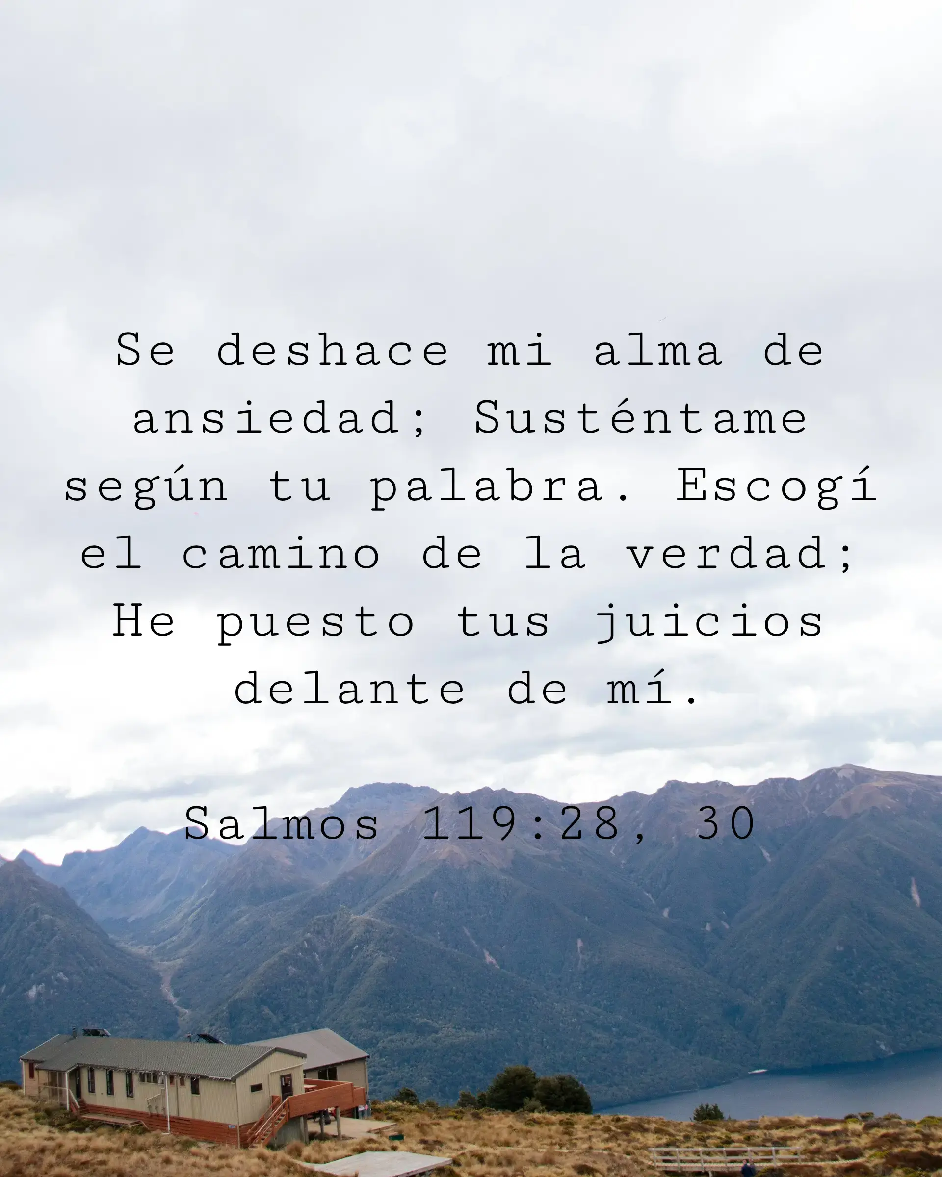 Se deshace mi alma de ansiedad; Susténtame según tu palabra. Escogí el camino de la verdad;
He puesto tus juicios delante de mí.